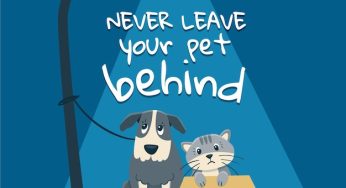 Whiskers of Wisdom – Inspiring Cat Quotes for Every Feline Lover